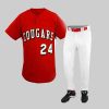 Custom Cougars Baseball Jersey With White Pant
