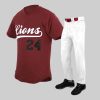 Lions Customs Baseball Uniform with Cheap Prices